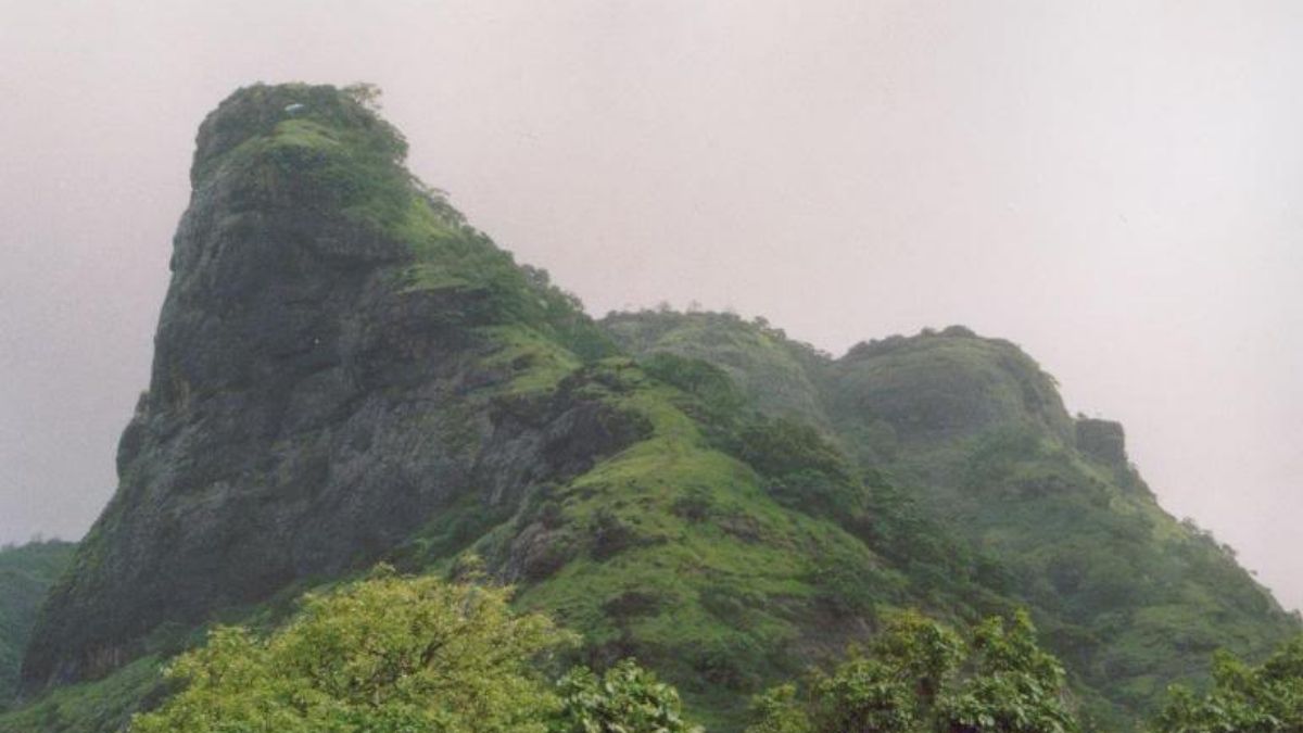 तांदुळवाडी हे भारतातील महाराष्ट्र राज्यातील उत्तर कोकणातील पालघर जिल्ह्यातील पालघर तालुक्यातील गाव आहे. तिथे हा किल्ला बांधला गेला आहे.
तांदूळवाडी हे गाव सफाळे रेल्वे स्थानकाच्या पूर्वेस ७ किमी अंतरावर वसलेले आहे.