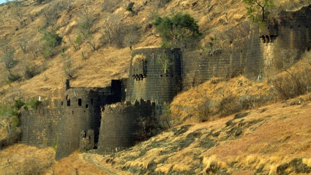 जंजाळा ऊर्फ वैशागड हा औरंगाबाद जिल्ह्यातील एक डोंगरी किल्ला आहे. औरंगाबाद-जळगाव-सिल्लोड-गोळेगाव मार्गावर जंजाळा हे गाव आहे. अंभई गावापासून हे १० किलोमीटरवर येते. जंजाळा हे डोंगरमाथ्यावरचे चिमुकले गाव असले तरी अतिशय सुंदर आहे. येथून चार किलोमीटरवर पायी चालत गेल्यावर वैशागड ऊर्फ जंजाळा लागतो. फोडलेल्या तटातून किल्ल्यात प्रवेश होतो. अफाट विस्तार असलेल्या या किल्ल्यावर उद्ध्वस्त इमारतींचे अनेक अवशेष आहेत. खूप तलाव आहेत, पिण्याचे पाणी आहे. गडावरून लांबवरचा मुलुख न्याहाळता येतो.