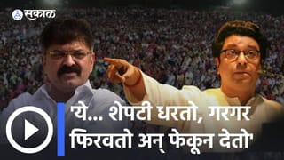 Raj Thackeray on Avhad}