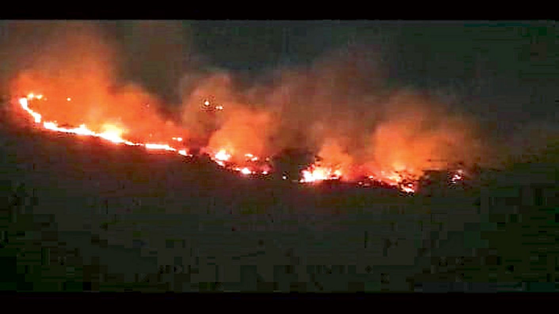 Sark-varzadi-wadkha forest department Fire in Varazdi forest auranganad