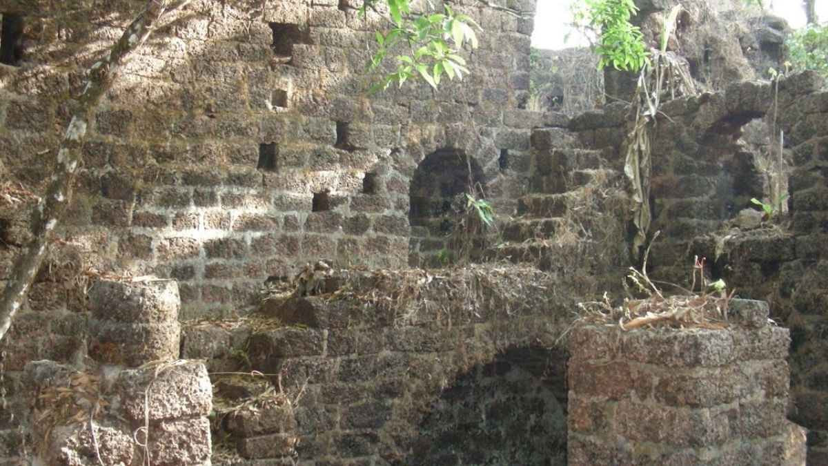 सिंधुदुर्ग जिल्ह्यातील सावंतवाडीमधील मसुरे गावात हा भरतगड आहे. शिवाजी महाराजांनी येथे गड बांधण्याच्या दृष्टीने पहाणी केली होती. पण पाण्याची सोय न झाल्यामुळे त्यांनी हा प्रयत्न सोडून दिला. पुढे फोंड सावंतानी प्रयत्न केला. त्यांच्या प्रयत्नांना यश आले. गडावर पाणी मिळाल्यावर त्यांनी येथे किल्ला उभारला. पुढे १८१८ मध्ये इतर किल्ल्यांप्रमाणे हा किल्ला सुद्धा इंग्रजांना मिळाला. तेव्हा गडावर अठरा तोफा असल्याची नोंद केलेली आढळते.