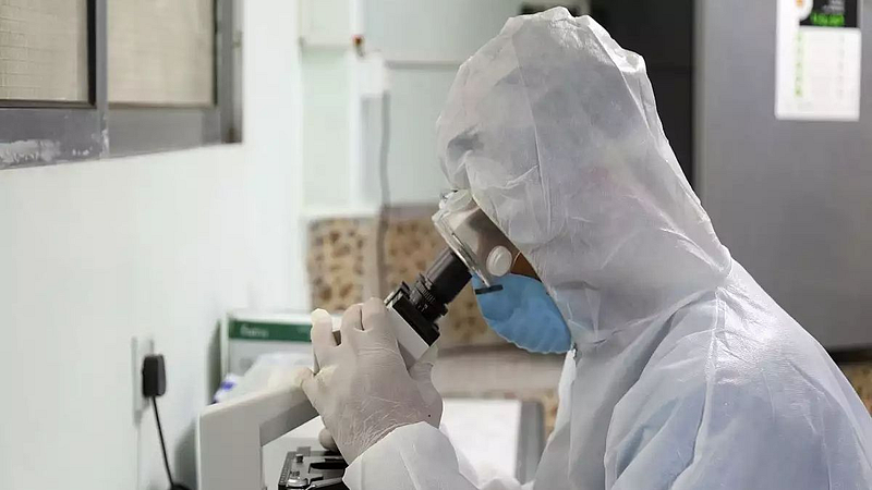 Corona virus alters proteins in the sperm cells thereby affecting fertility