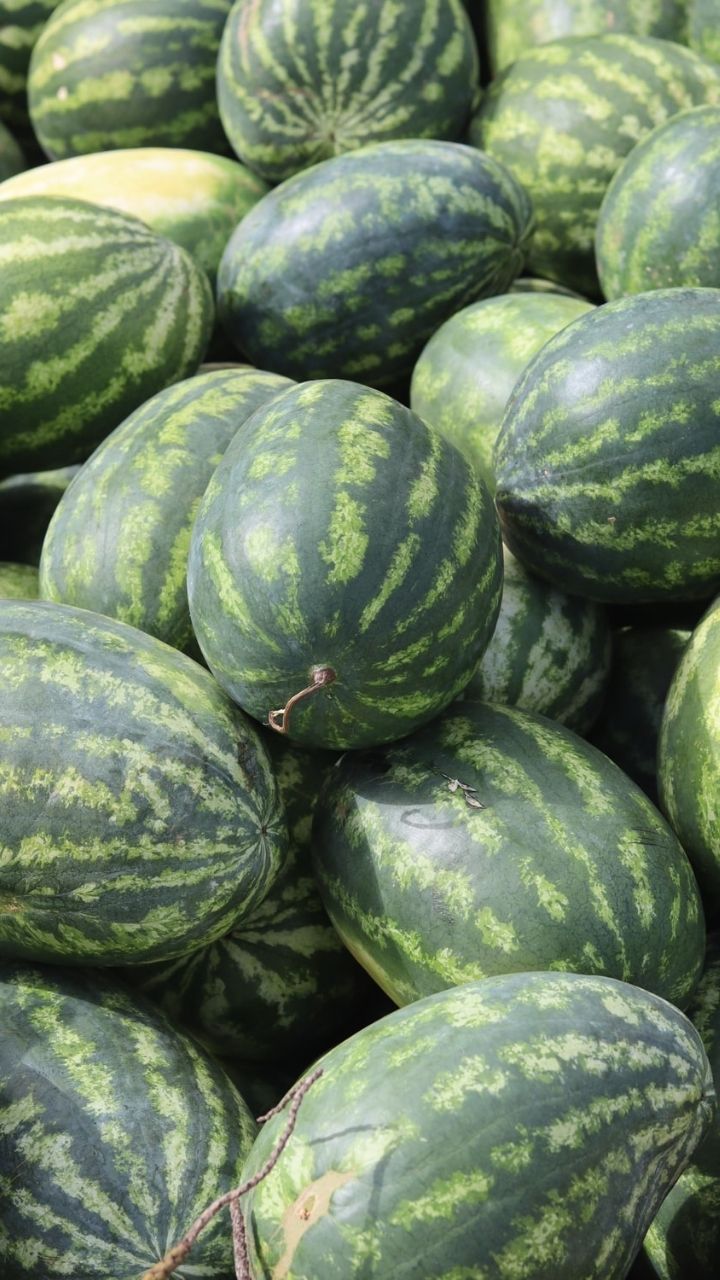 Watermelon