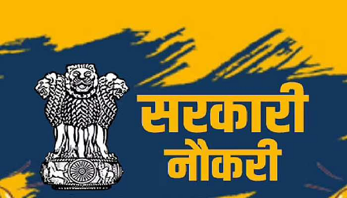 Government Job