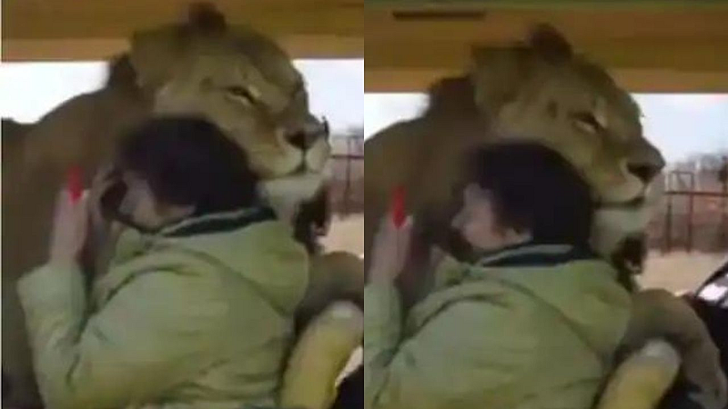 viral