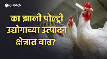 Increase in production cost of broiler}