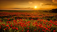Sunrise Sunrise