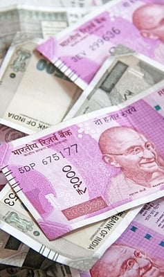 how to check balance in your pf account online from home