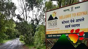 सह्याद्री व्याघ्र प्रकल्पात