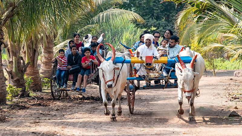 Agriculture Tourism