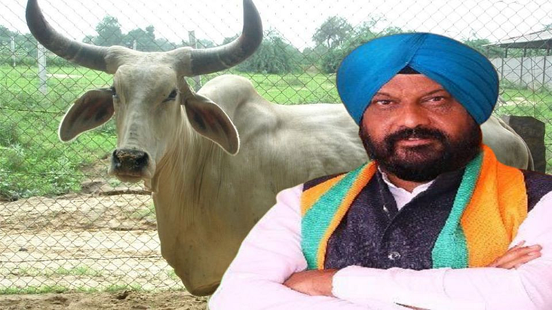 Hardeep Singh Dang