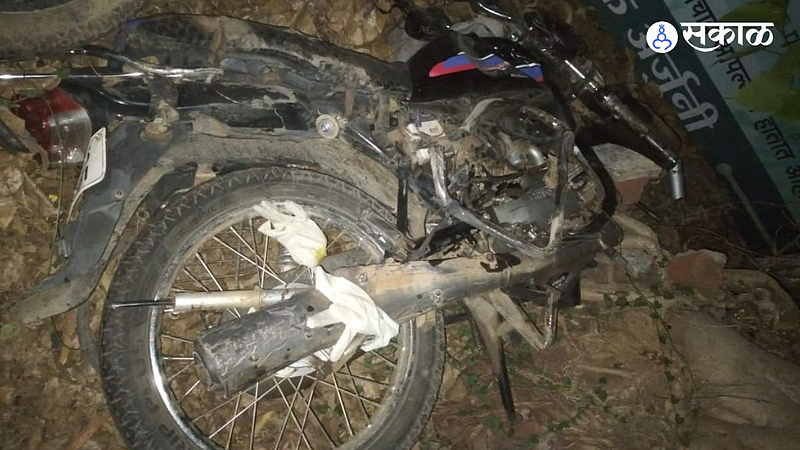 Mother and two children were killed in a truck crash in gondia district