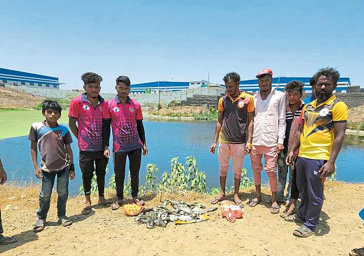भांबोलीत कंपन्यांचे सांडपाणी आदिवासींच्या मुळावर
शेकडो मासे मृत्युमुखी पडल्याने हक्काचा रोजगार गेल्याचा आरोप