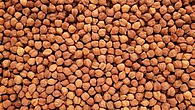 Nanded farmers Register for sale gram till Tuesday Nanded farmers Register for sale gram till Tuesday