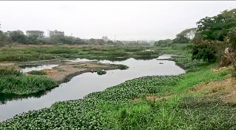 इंद्रायणी नदीत काळेपाणी, जलपर्णी
