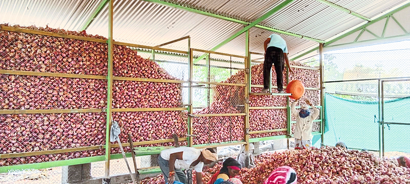 Farmers onion Stocking