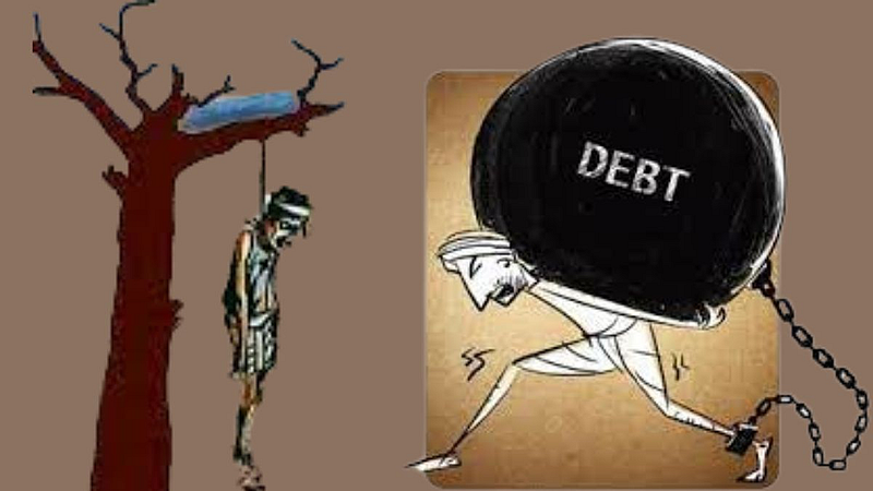 Suicide of young farmer due to debt