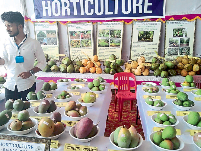 भात, आंब्याच्या विविध जाती लक्षवेधी