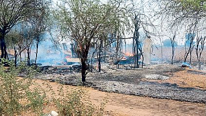 Akola three cows Death in barn fire farmer loss