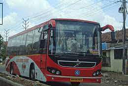 smt bus