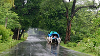 rain rain