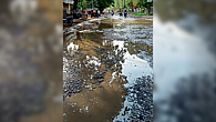 Parbhani water overflowed on roads Municipal employees strike not settled Parbhani water overflowed on roads Municipal employees strike not settled