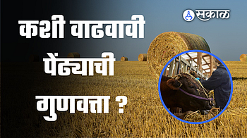Agricultural News}