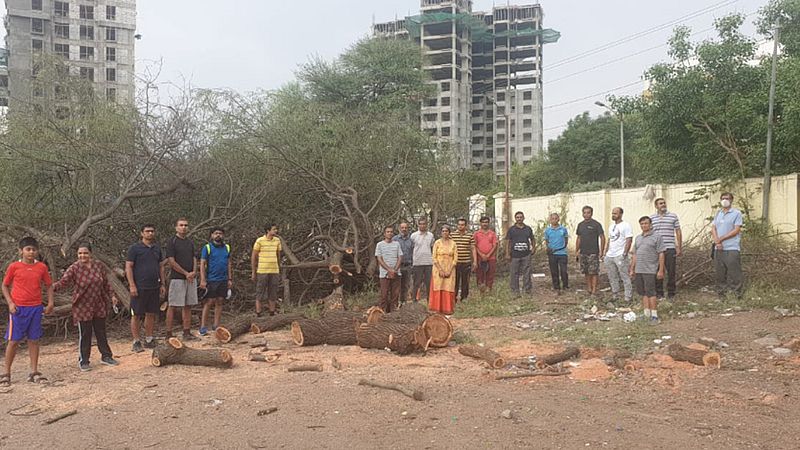 Tree Cutting