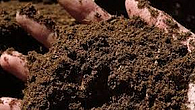 Fertilizer shortage decline in livestock inflation Fertilizer shortage decline in livestock inflation