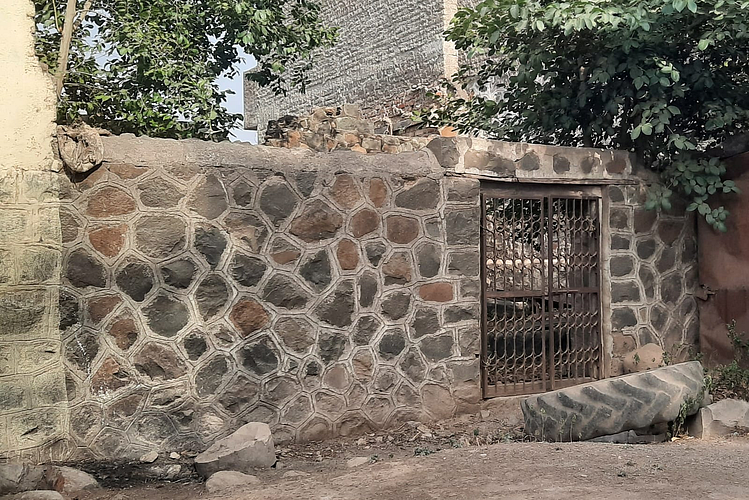 animal cage