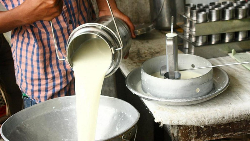 Milk Dairy