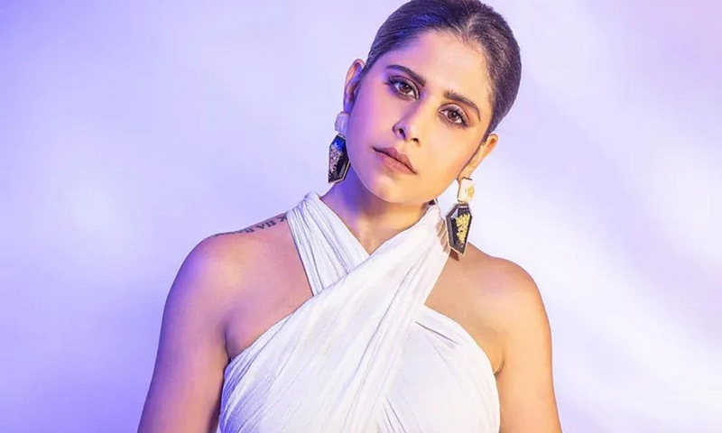 sai tamhankar on bollywood vs south controversy