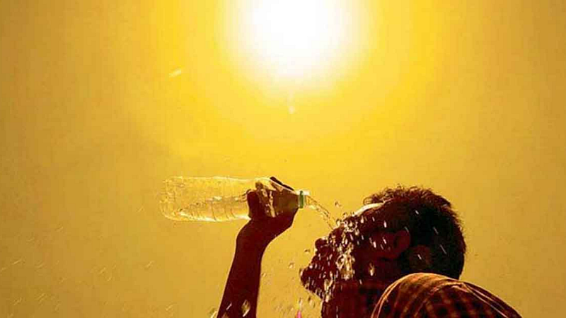 heatwave in vidarbha india continue for two days imd Maharashtra weather update