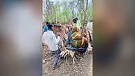 Shivni village has no road Patients have to face problems transported by bullock cart Shivni village has no road Patients have to face problems transported by bullock cart
