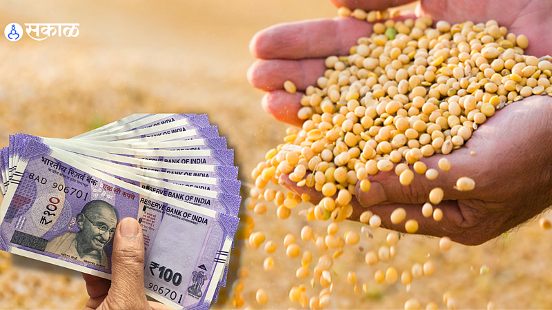 Inflation soybean seeds bag price increase up by 900 to 1000