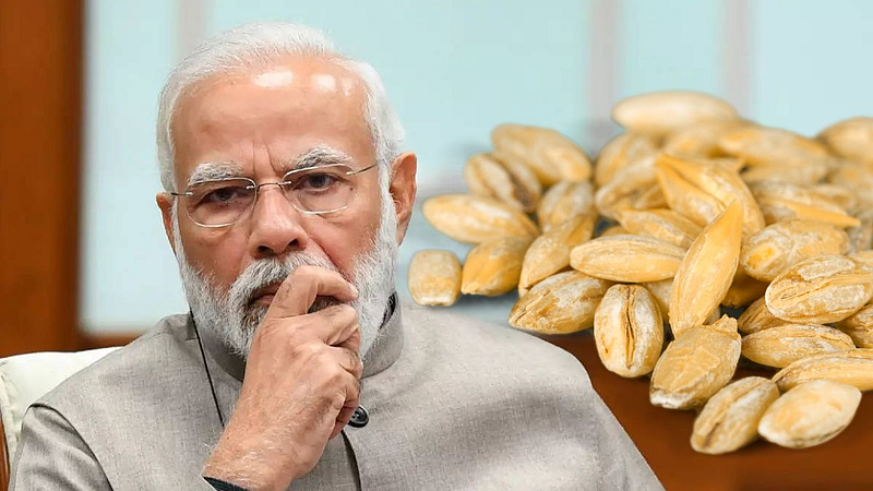 Russia-Ukraine War Opportunities central government Strong Steps for Wheat Exports new delhi