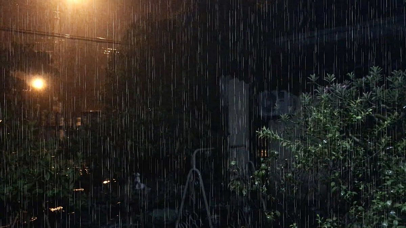 Rain