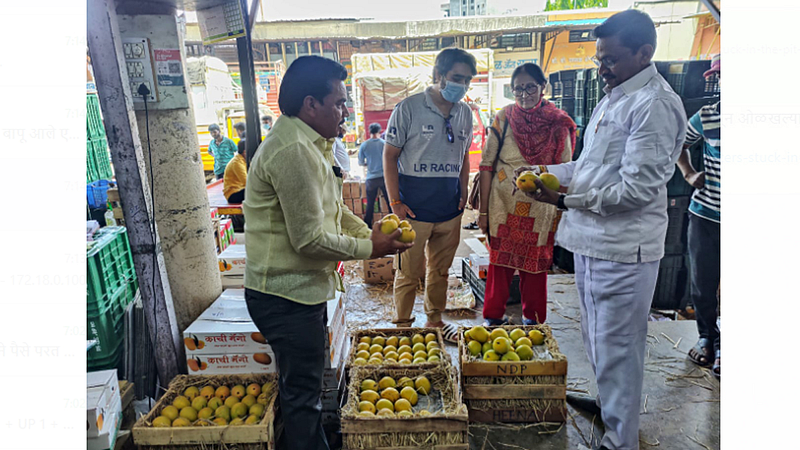 Hapus Mango