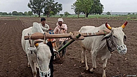 Farmer Farmer