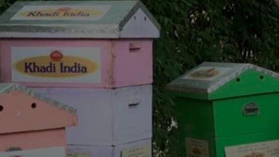 business newsKhadi Village Industries Board 800 crore bees mumbai