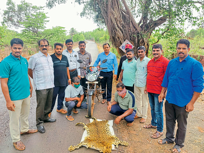 बिबट्याचे कातडे विक्रीसाठी घेऊन जाणाऱ्या दोघांना आज स्थानिक गुन्हा अन्वेषण विभागाच्या पथकाने पकडले.