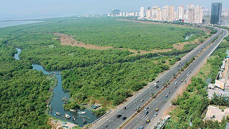 palm beach road mumbai
