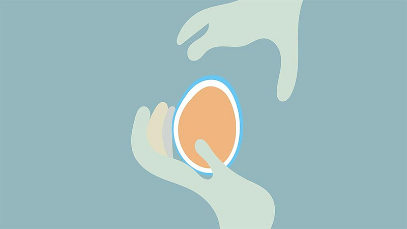 egg fridging