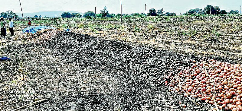 कांद्याची ऐरण जळून लाखोंची हानी