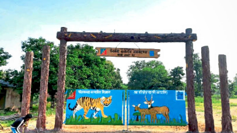 Now Jungle Safari at Panganga Sanctuary