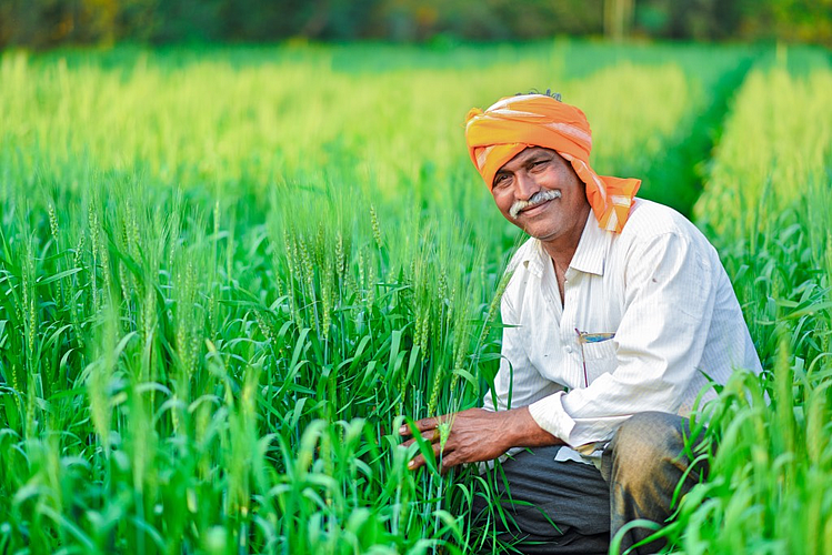 farmer