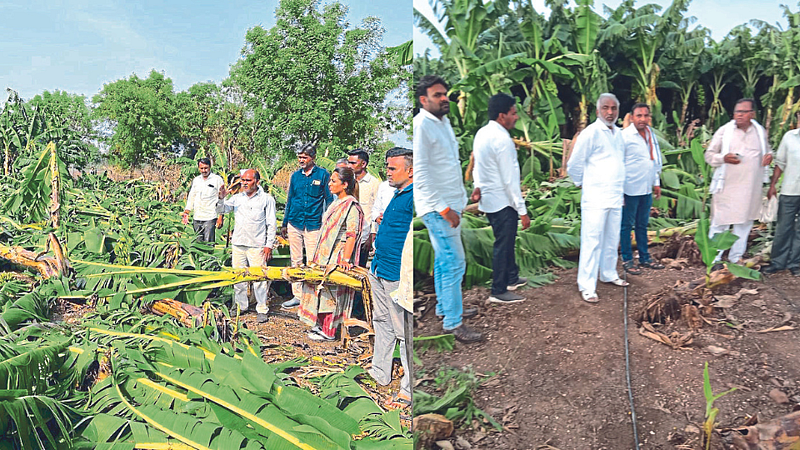 rohini khadse & Ananda patil visit to damaged field