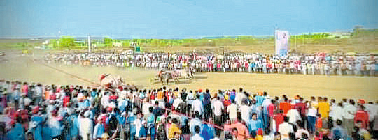 निंबाळकर, जगताप यांच्या बैलगाडा प्रथम