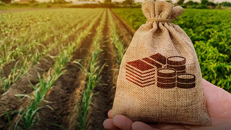 Nanded farmer Loans not available even repaying crop loans