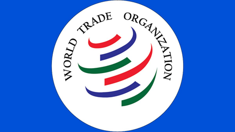 World Trade Organization Council of Ministers E-commerce not resolved Poor countries insist on rights
